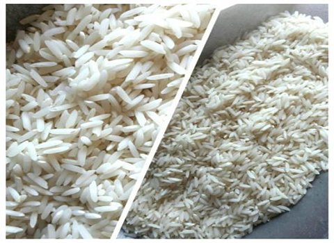 فروش برنج طارم هاشمی + قیمت خرید به صرفه