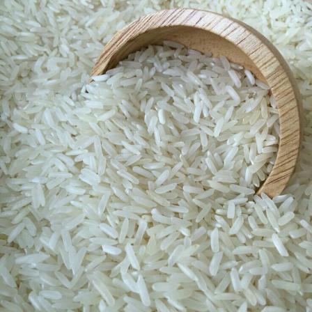 https://shp.aradbranding.com/خرید برنج هاشمی گیلان + قیمت فروش استثنایی