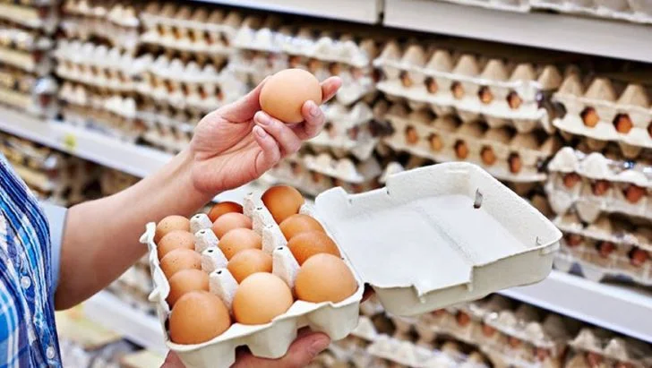 قیمت خرید تخم مرغ محلی بسته بندی با فروش عمده