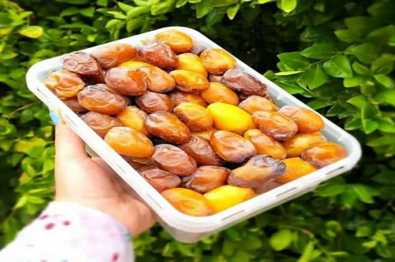 قیمت خرید خرما رطب عسلی + فروش ویژه