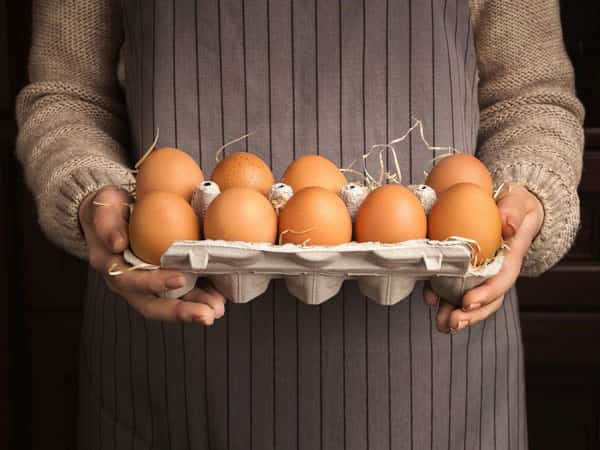 فروش تخم مرغ محلی ارزان + قیمت خرید به صرفه
