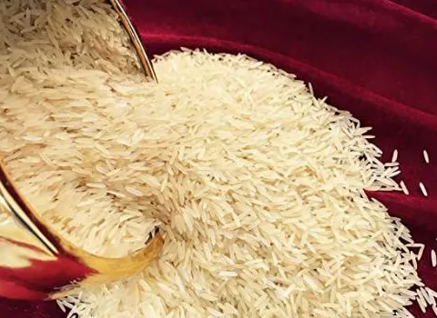 خرید برنج فجر سوزنی + قیمت فروش استثنایی