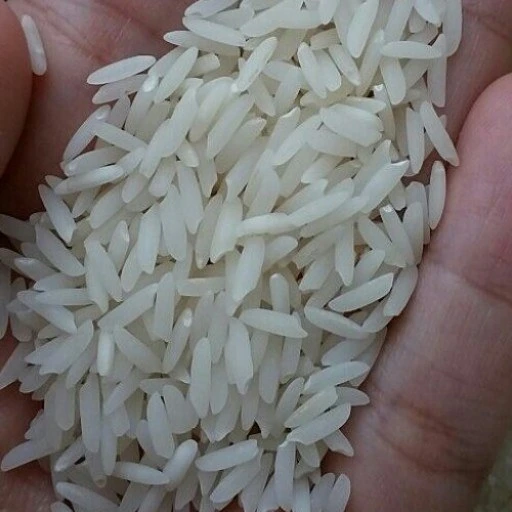 خرید برنج شمال هاشمی + قیمت فروش استثنایی