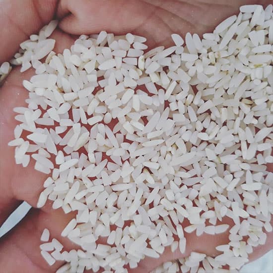خرید و فروش برنج نیم دانه هاشمی با شرایط فوق العاده