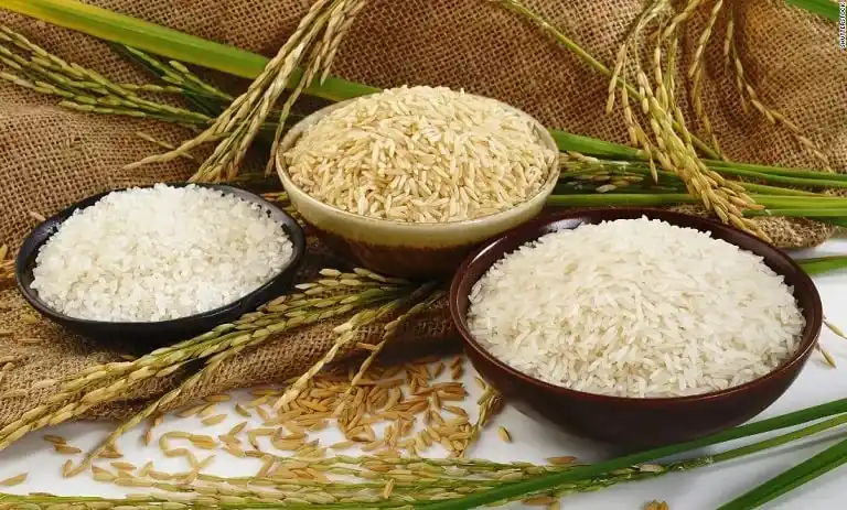 قیمت خرید برنج طارم شمال + فروش ویژه