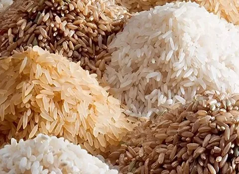 https://shp.aradbranding.com/فروش برنج قهوه ای اصل + قیمت خرید به صرفه