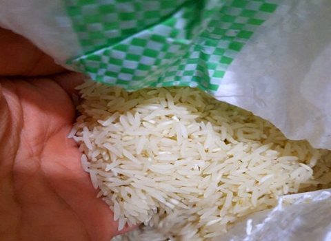 قیمت برنج هاشمی میانه با کیفیت ارزان + خرید عمده