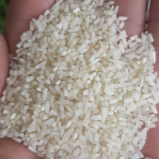 قیمت خرید برنج لاشه فجر + فروش ویژه