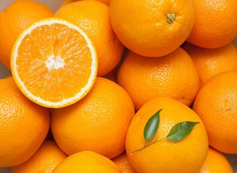 فروش پرتقال تامسون شمال + قیمت خرید به صرفه