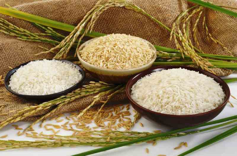 خرید برنج ایرانی طارم هاشمی + قیمت فروش استثنایی