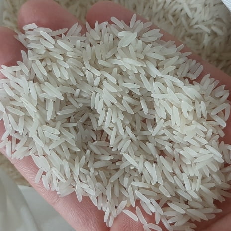 خرید و قیمت برنج هاشمی گلستان + فروش عمده
