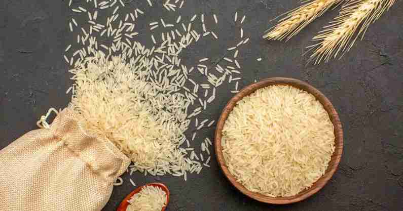 قیمت خرید برنج شمال درجه یک + فروش ویژه