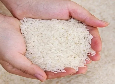 قیمت خرید برنج چمپا اصل + فروش ویژه