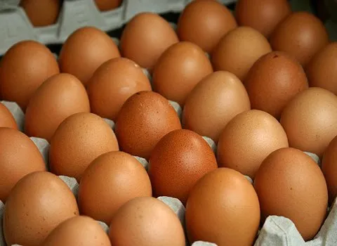خرید و فروش تخم مرغ رسمی دو زرده با شرایط فوق العاده