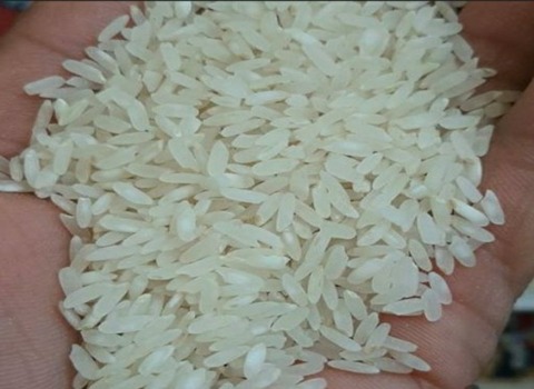 خرید و قیمت برنج سفید کامفیروز + فروش عمده