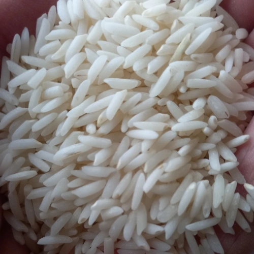 قیمت خرید برنج هاشمی درجه یک + فروش ویژه