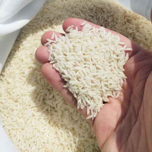 https://shp.aradbranding.com/قیمت خرید برنج طارم هاشمی فریدونکنار عمده به صرفه و ارزان