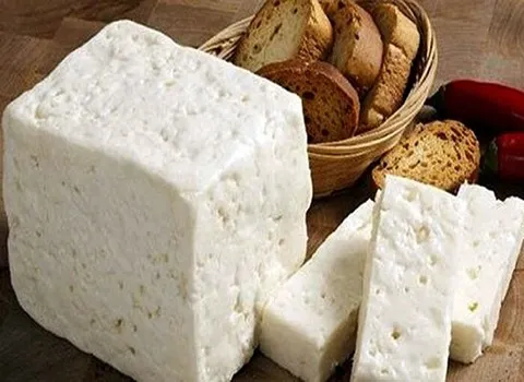 https://shp.aradbranding.com/خرید پنیر سنتی گوسفندی + قیمت فروش استثنایی