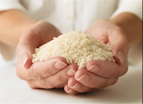قیمت خرید برنج مازندران هاشمی با فروش عمده
