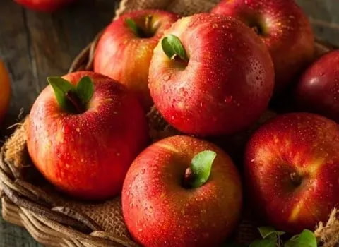 قیمت سیب گالا فوجی تهران + خرید باور نکردنی