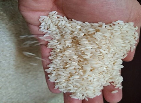 https://shp.aradbranding.com/قیمت خرید برنج معطر شمال + فروش ویژه