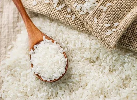 https://shp.aradbranding.com/قیمت برنج فجر اعلا + خرید باور نکردنی