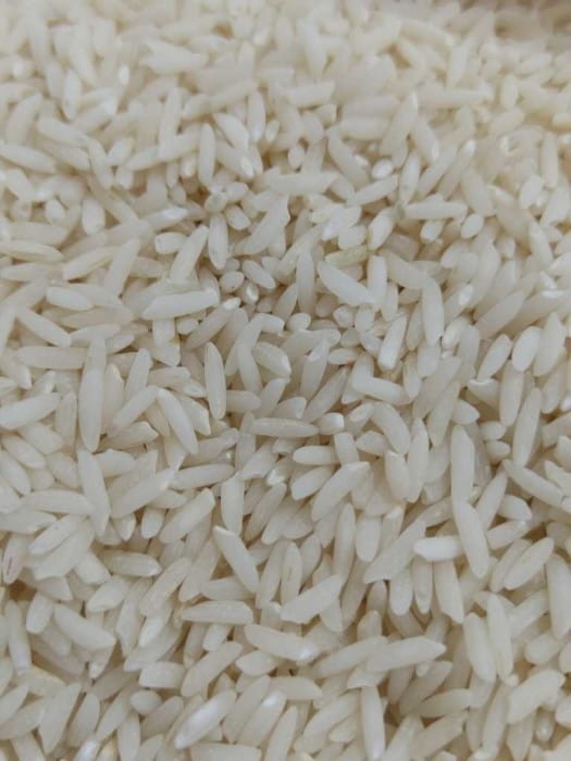 فروش برنج طارم هاشمی مازندران + قیمت خرید به صرفه