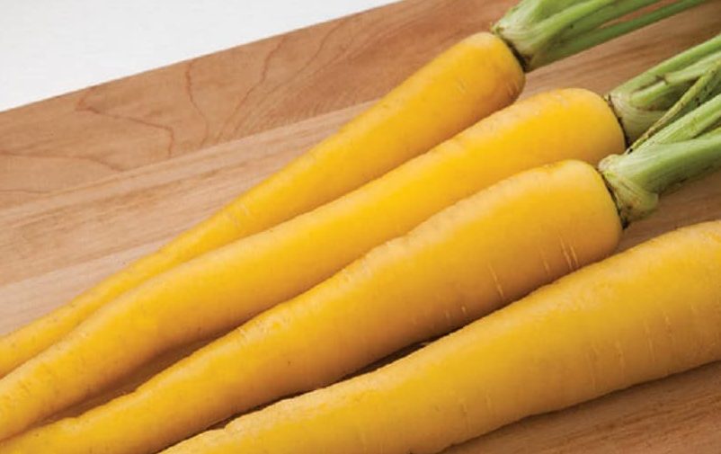 خرید هویج زرد ایرانی + قیمت فروش استثنایی