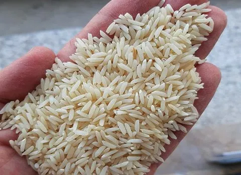 خرید و قیمت برنج طارم دمسیاه + فروش عمده