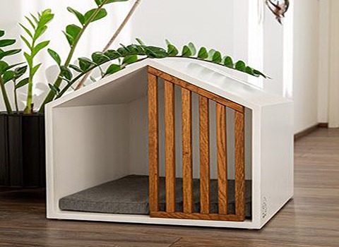 https://shp.aradbranding.com/قیمت جای خواب گربه چوبی با کیفیت ارزان + خرید عمده