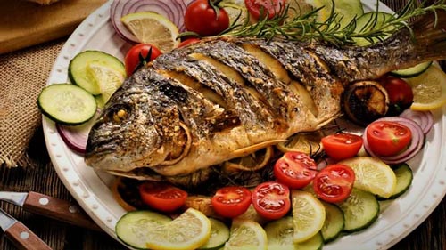 https://shp.aradbranding.com/قیمت خرید ماهی جنوب ايران + فروش ویژه