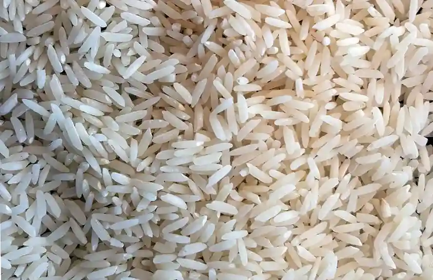 قیمت خرید برنج ایرانی دانه بلند عمده به صرفه و ارزان