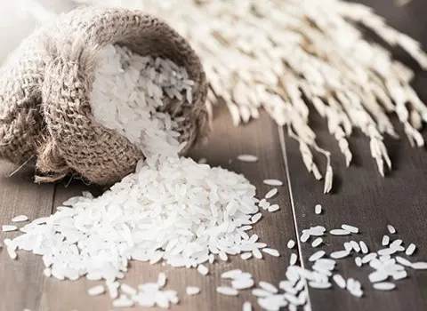 قیمت برنج شالیزار شمال با کیفیت ارزان + خرید عمده