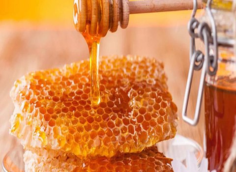 خرید و فروش عسل طبیعی کوهستان با شرایط فوق العاده