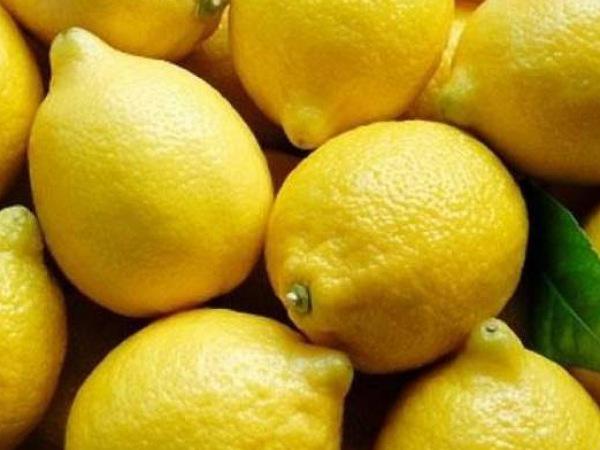 خرید و قیمت لیمو ترش زرد + فروش عمده