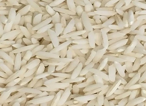 خرید برنج دم سیاه استخوانی + قیمت فروش استثنایی
