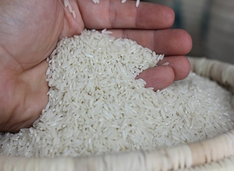 قیمت برنج کشت دوم فریدونکنار با کیفیت ارزان + خرید عمده