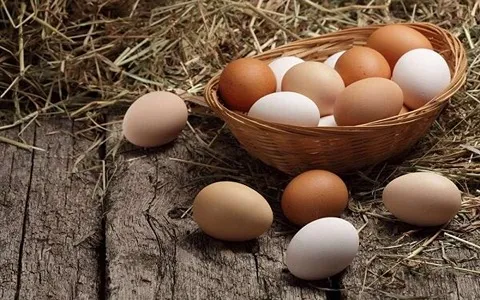 https://shp.aradbranding.com/قیمت تخم مرغ رسمی با کیفیت ارزان + خرید عمده