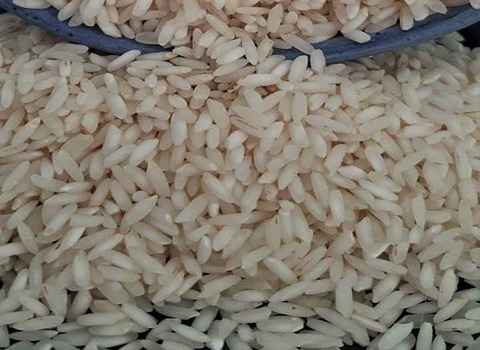 قیمت خرید برنج طارم عنبربو + فروش ویژه