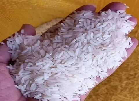 https://shp.aradbranding.com/خرید برنج هاشمی طبیعت + قیمت فروش استثنایی