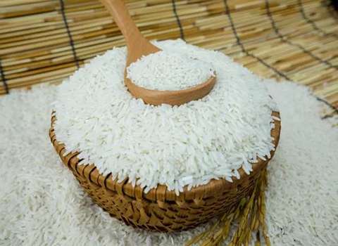 قیمت خرید برنج ندا اعلا + فروش ویژه