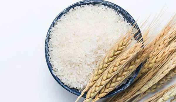 خرید و قیمت برنج محلی خوزستان + فروش عمده