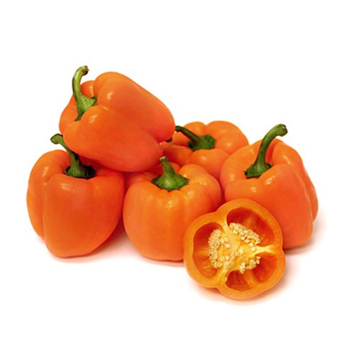 https://shp.aradbranding.com/قیمت خرید فلفل دلمه ای نارنجی عمده به صرفه و ارزان