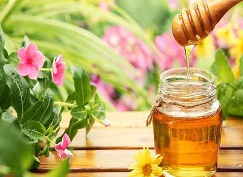 خرید و فروش عسل چهل گیاه ارگانیک با شرایط فوق العاده