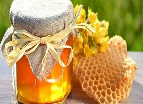 قیمت عسل چهل گیاه طبیعی با کیفیت ارزان + خرید عمده