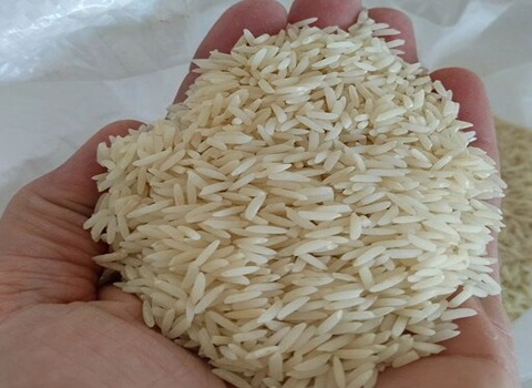 قیمت برنج مازندران هاشمی + خرید باور نکردنی