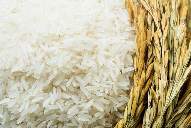 قیمت خرید برنج مازندران شالیکوبی + فروش ویژه
