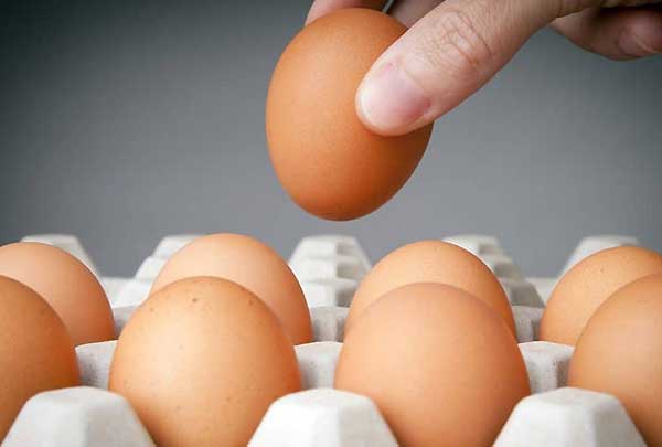 فروش تخم مرغ محلی نطفه دار + قیمت خرید به صرفه