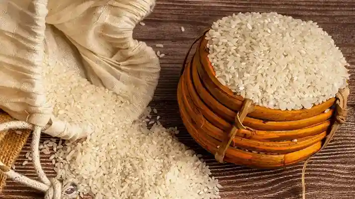فروش برنج هاشمی گیلان + قیمت خرید به صرفه