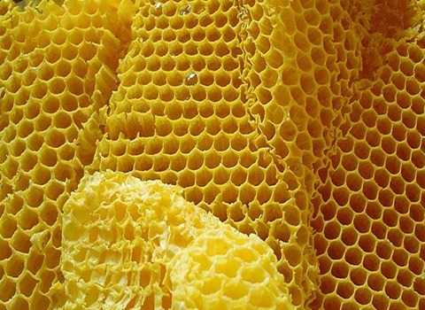 خرید و فروش عسل موم دار طبیعی با شرایط فوق العاده